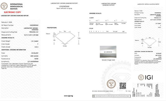 1.01CT VVS2 F 620452464 Princess Cut Lab Grown Diamond