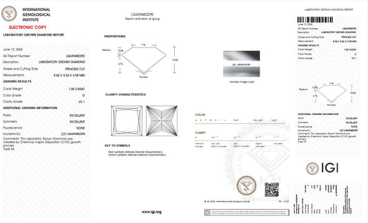 1CT VS1 D 639482290 Princess Cut Lab Grown Diamond