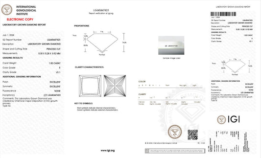 1CT VS1 E 640447423 Princess Cut Lab Grown Diamond